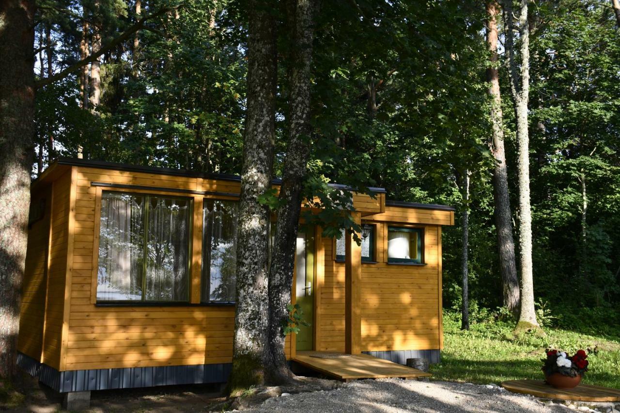 Kempings Ezerpriedes Burtnieki  Exteriör bild